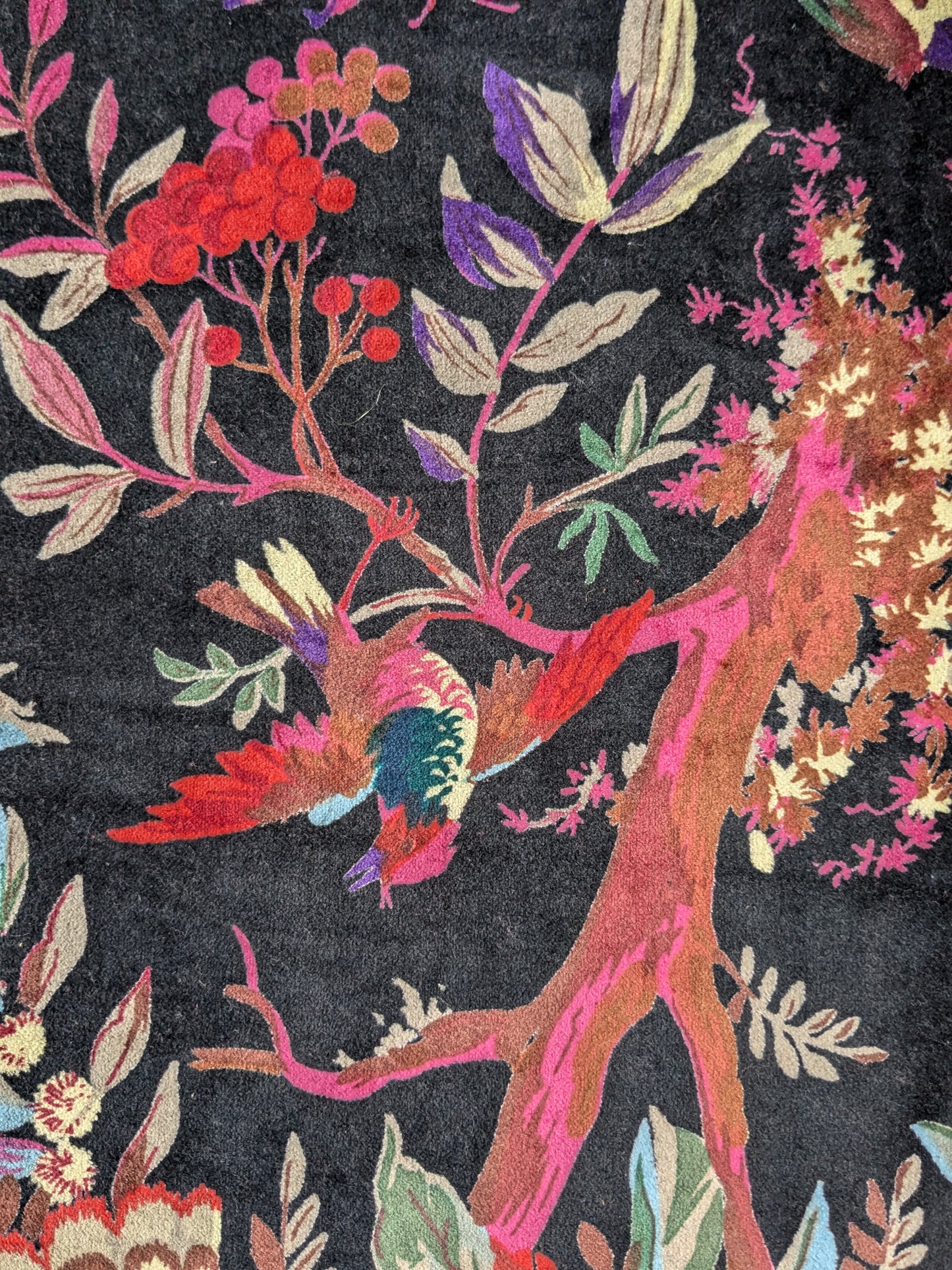 Velvet Cushion