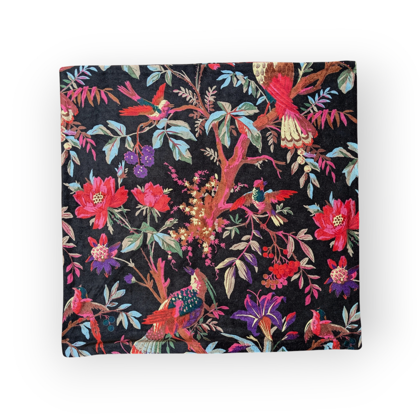 Velvet Cushion