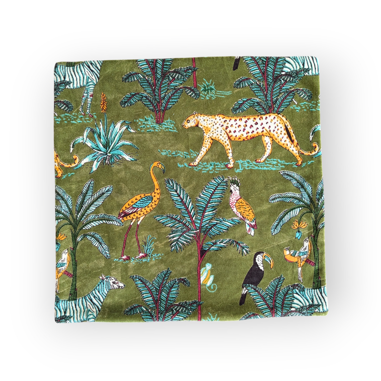 Velvet Cushion