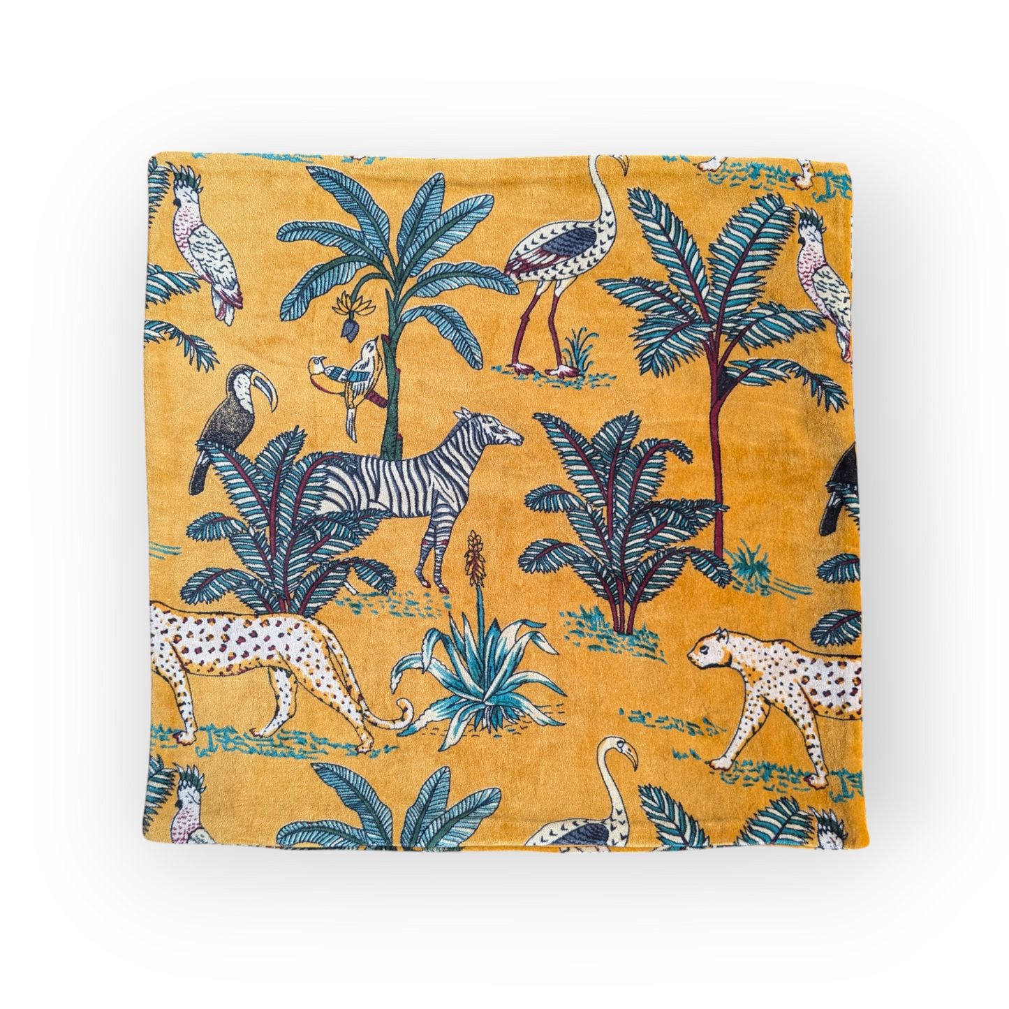 Velvet Cushion