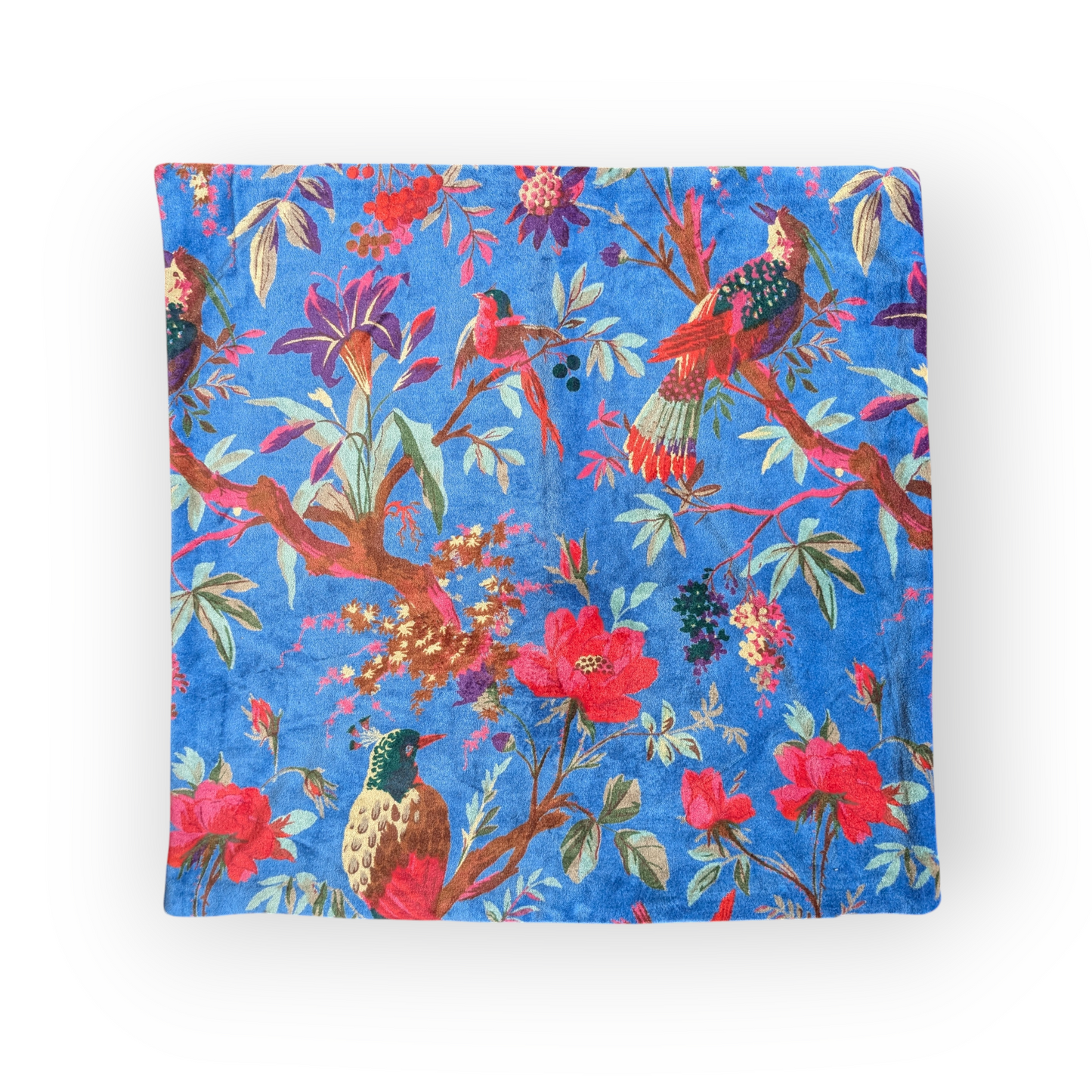 Velvet Cushion