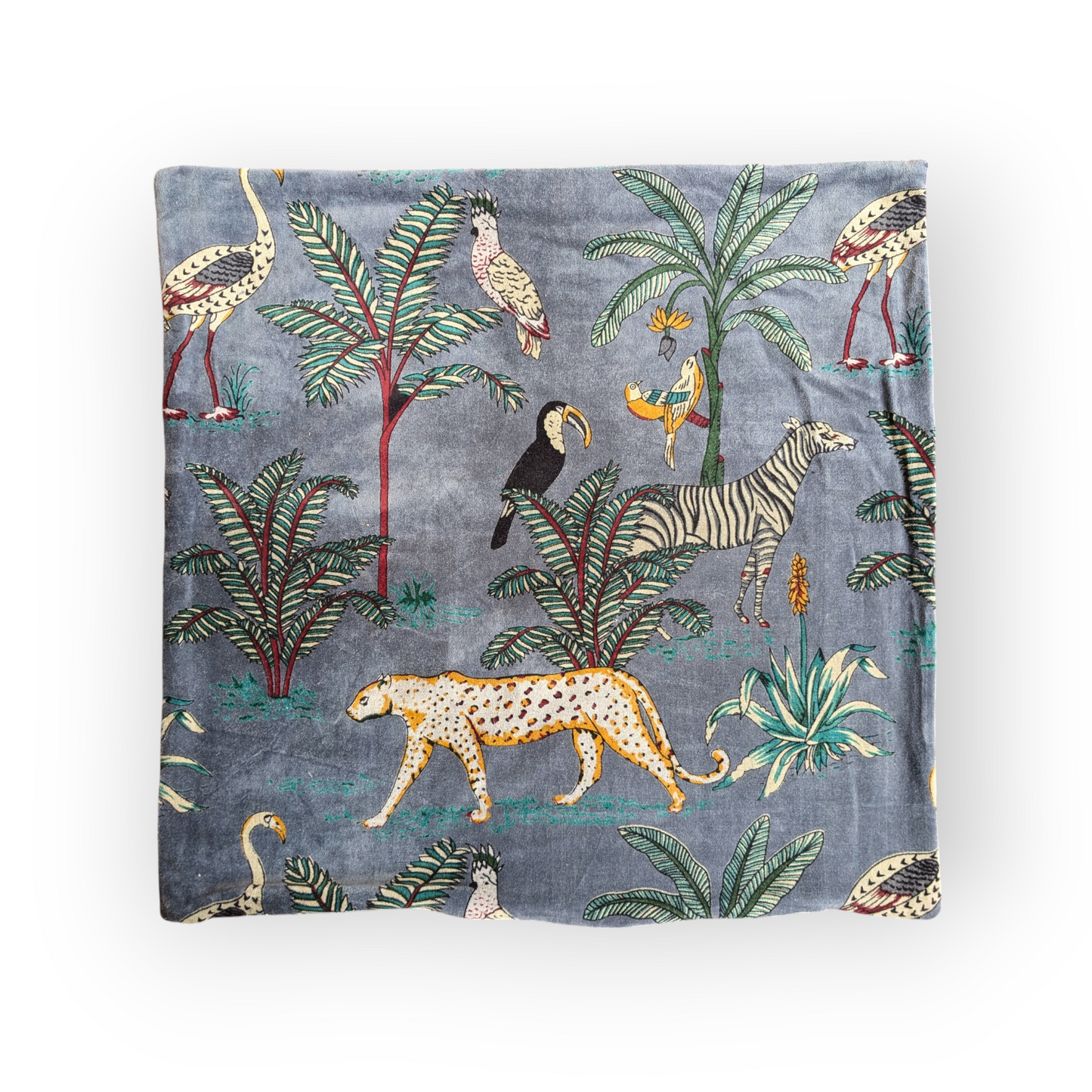 Velvet Cushion