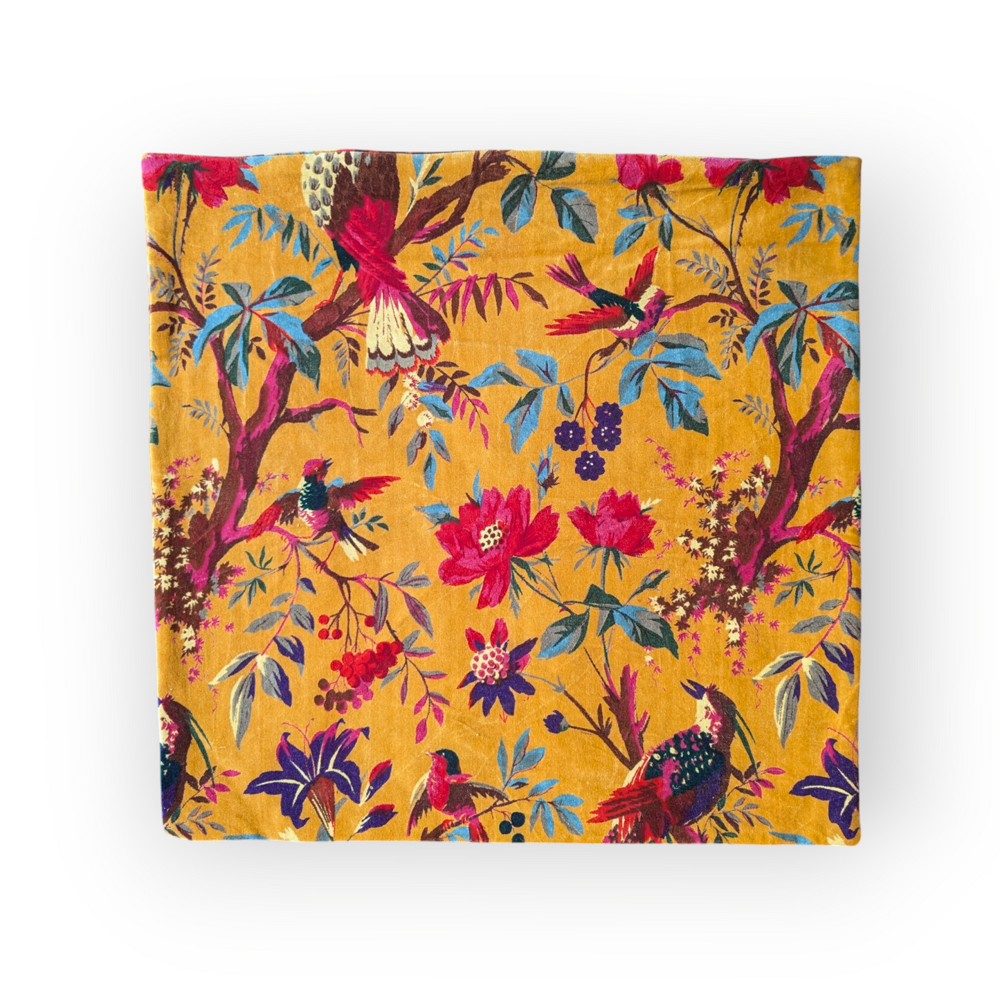 Velvet Cushion